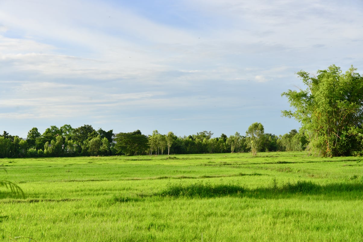 green land